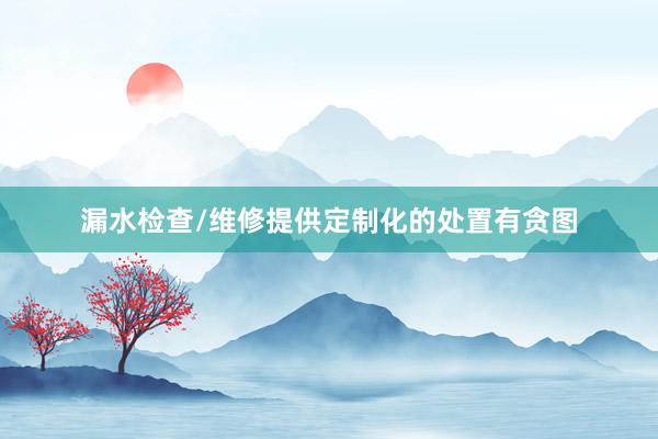 漏水检查/维修提供定制化的处置有贪图