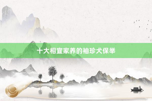 十大相宜家养的袖珍犬保举