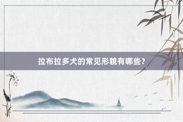 拉布拉多犬的常见形貌有哪些？